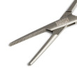 Pean Forceps