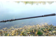 Prut Escalade Carp