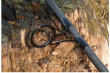 Prut FBC CS-3 Carp