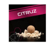 Boilies Citruz