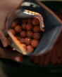 Boilies Orient Shrimp