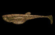 Nástraha Embrion Shad 2´´ 50mm 10ks