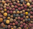 Boilies Rapid Multi Mix