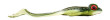 Nástraha Iris The Frog 12cm 20g