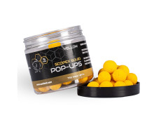 Pop Up Boilies Scopex Squid 2024