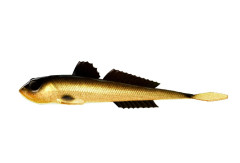 Nástraha Gobio 18,6cm 40g