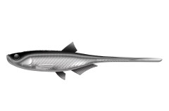 Nástraha Bleak Slug Tail 21cm 35g