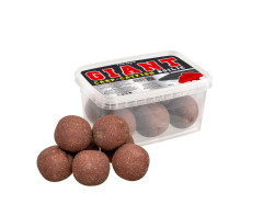 Boilies Giant Carp-Catfish 40mm 300g