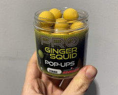 Pop Up Probiotic Ginger Squid 60g