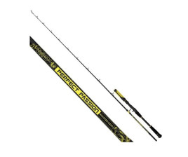 Prut Perfect Passion Allstar Cast 2,2 m 30-130 g