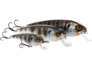 Wobler RawBite Crankbait 17cm 100g