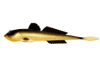 Nástraha Gobio 18,6cm 40g