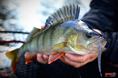 Nástraha Wormeto 77mm 1,6g 5ks