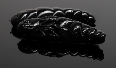 Nástraha Largo 35mm 10ks