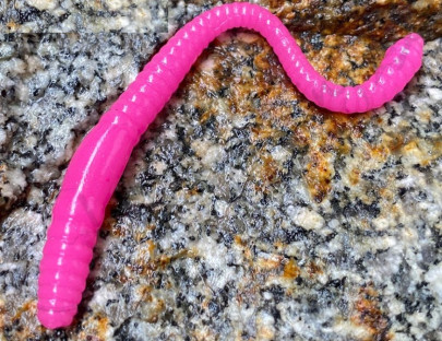 Nástraha Dying Worm 70mm 15ks