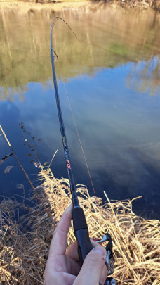 Prut Aggressor MTX Toray