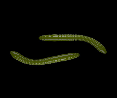 Nástraha Fatty D´Worm Tournament 55mm 12ks