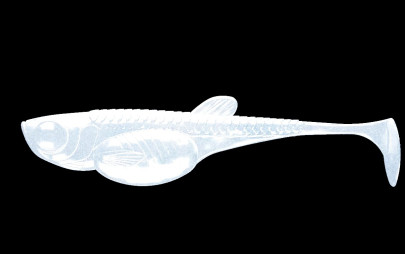 Nástraha Embrion Shad 2´´ 50mm 10ks