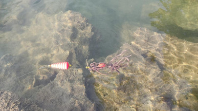 Klip na nástrahu Baitclips