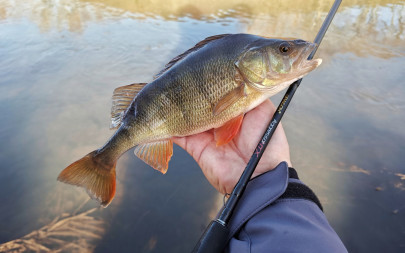 Prut Aggressor MTX Toray