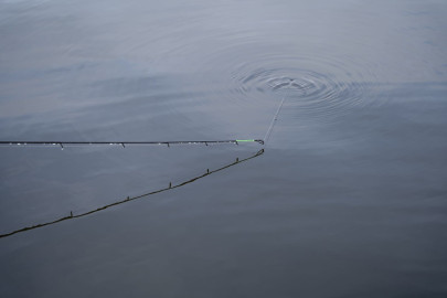 Prut Limitless Feeder