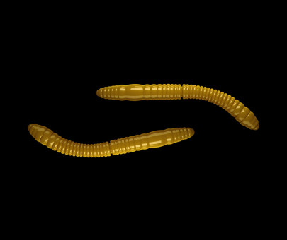 Nástraha Fatty D´Worm Tournament 55mm 12ks