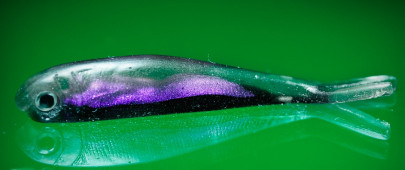 Nástraha Mikrosmáček SSR1 CF Black Purple