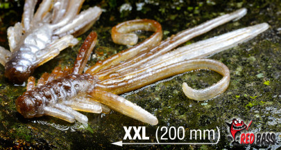 Nymfy RedBass XXL 200mm