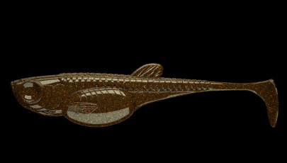 Nástraha Embrion Shad 3´´ 75mm 8ks