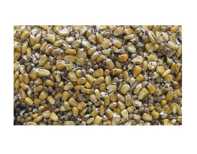 Partikel Flash 3 Mix Kukuřice Pšenice Řepka 1,5kg