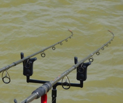 Signalizátor Team Feeder