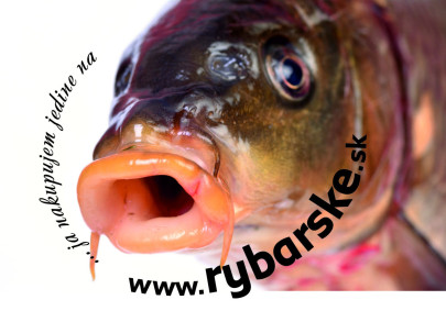 Nálepky Rybarske.sk