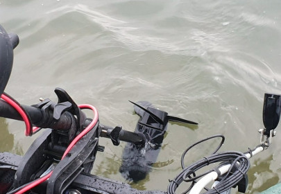 Elektromotor Haswing 65lb s maximalizérem