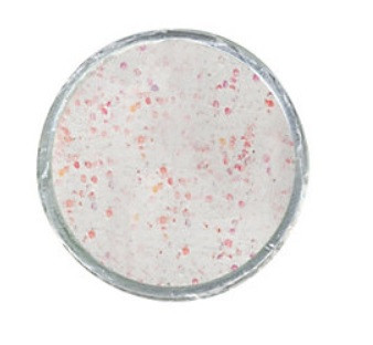 Těsto na pstruhy Select Glitter Trout Bait