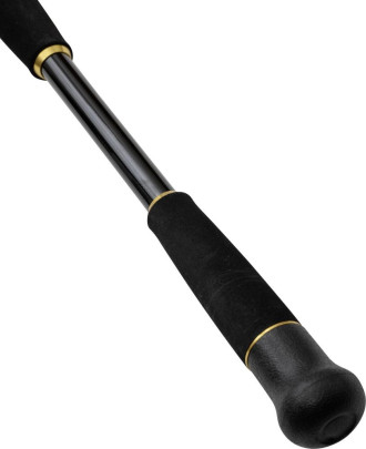 Prut Perfect Passion Allstar Cast 2,2 m 30-130 g