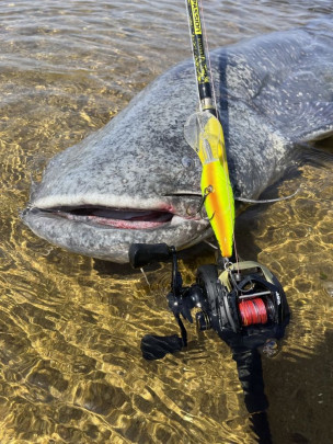 Prut Perfect Passion Allstar Cast 2,2 m 30-130 g