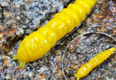 Nástraha Kukolka 27mm 15ks