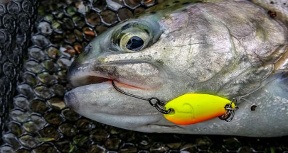 Plandavka Trout Master Ats Spoon 2,1g UV