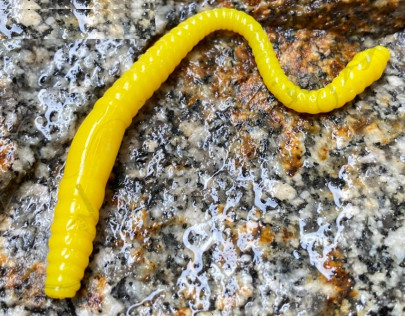 Nástraha Dying Worm 70mm 15ks