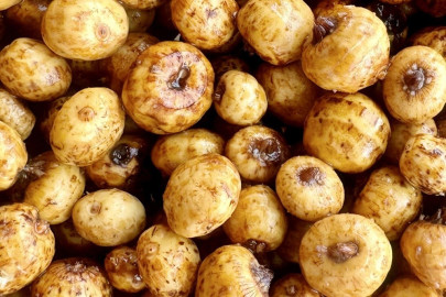 Tygří Ořech Vařený Rapid