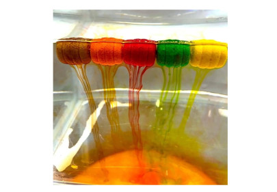 Nástraha Concourse Twister Smoke 12mm 60ml