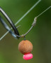 Háčky Edges Super Wide Gape Long Shank