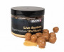 Boilie V Dipu Glugged Hookbaits Live System 10x15mm 50ks