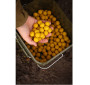 Boilies Ready Corn