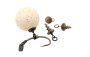 Šroub pro uchycení Pop Up Micro Ring Swivel Bait Screw Medium
