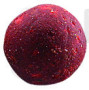 Boilies Probiotic The Red One