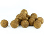 Boilies Scopex & Squid
