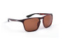 Brýle Ultegra Tortoiseshell Copper
