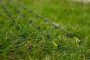 Prut Monster Xtreme Distance Feeder