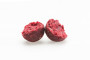 Boilies Rapid Starter 3500g